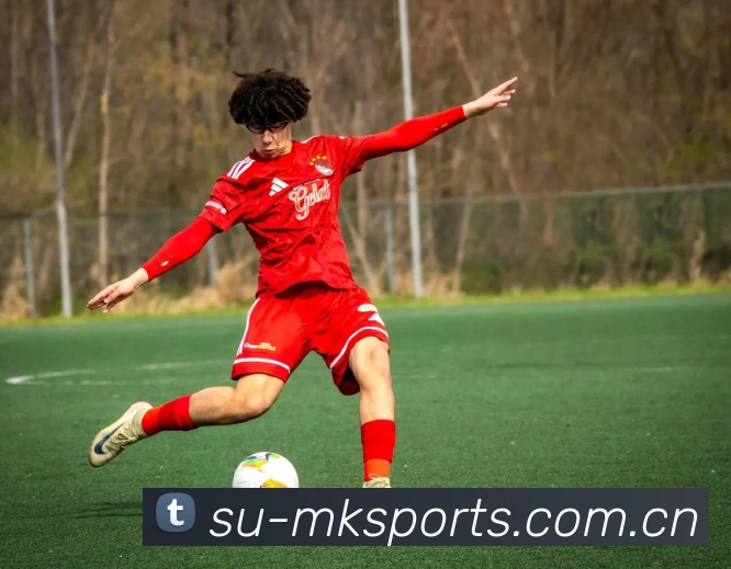 功能亮点 - MK体育在线平台 - MK Sports官方登录